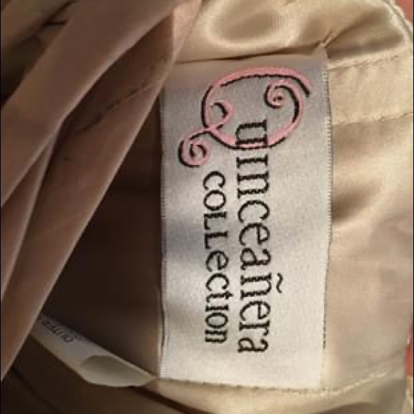 Quincenera Dress - Picture 7 of 8